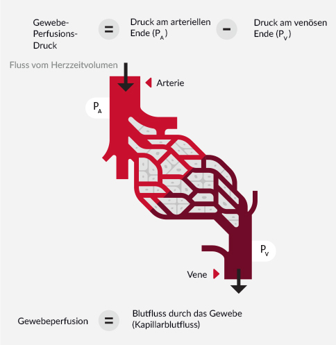 Voraussetzung f&uuml;r eine ad&auml;quate Perfusion sind ad&auml;quater arterieller blutdruck und ad&auml;quates Herzzeitvolumen (CO)