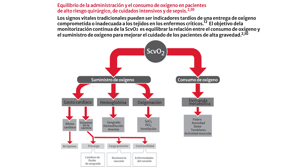 Diagrama del equilibrio entre aporte y consumo de oxígeno