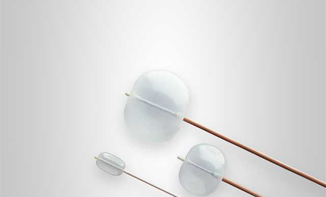 Catetere per occlusione Fogarty Edwards Lifesciences